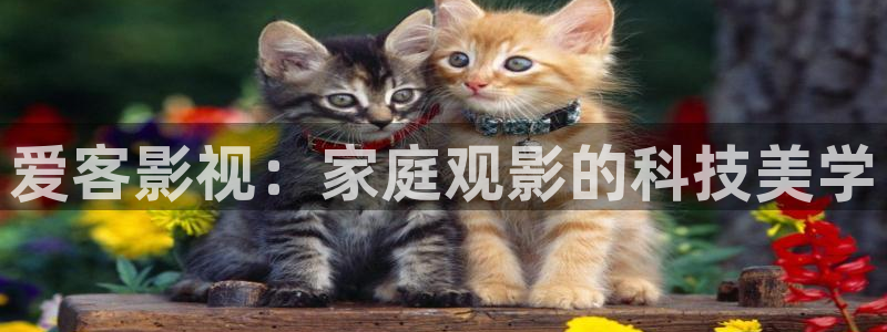 欧美影院久久影院：爱客影视：家庭观影的科技美学