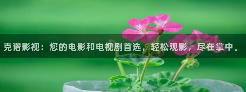 久久私人影院：克诺影视：您的电影和电视剧首选，轻松观影，尽在掌中。