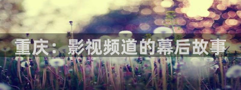 久久影院网站：重庆：影视频道的幕后故事