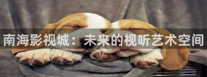 伊人久久 影院：南海影视城：未来的视听艺术空间